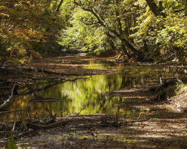 Improving Watersheds Helps Drinking Water (And Reduces Flooding)
